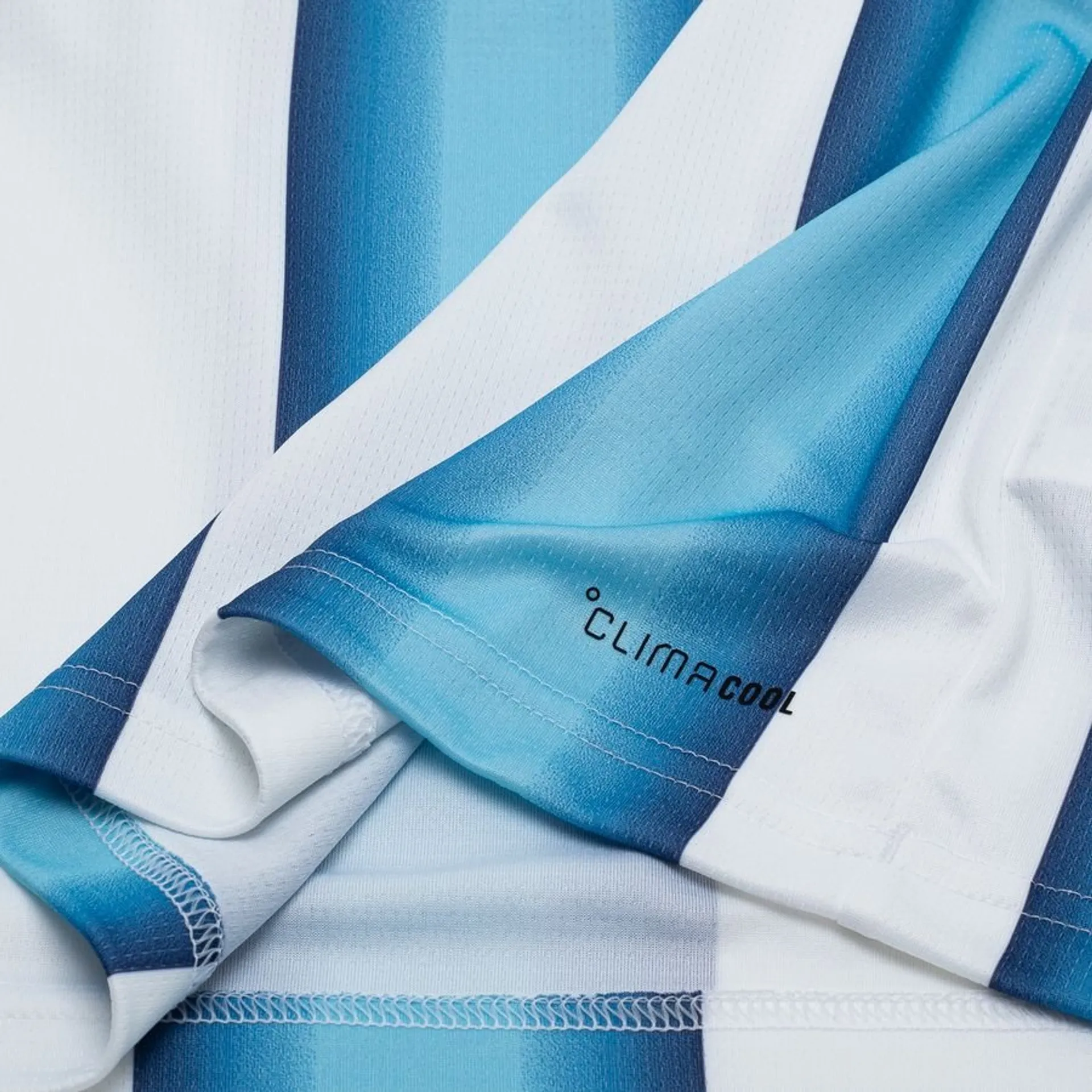 MESSI #10 Argentina Home Soccer Jersey World Cup 2026 Blue&White