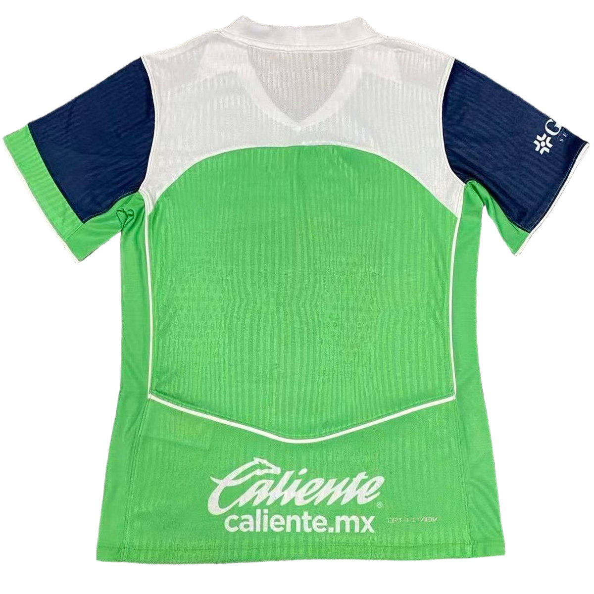 Authentic Pumas UNAM Third Jersey 25/26 Green
