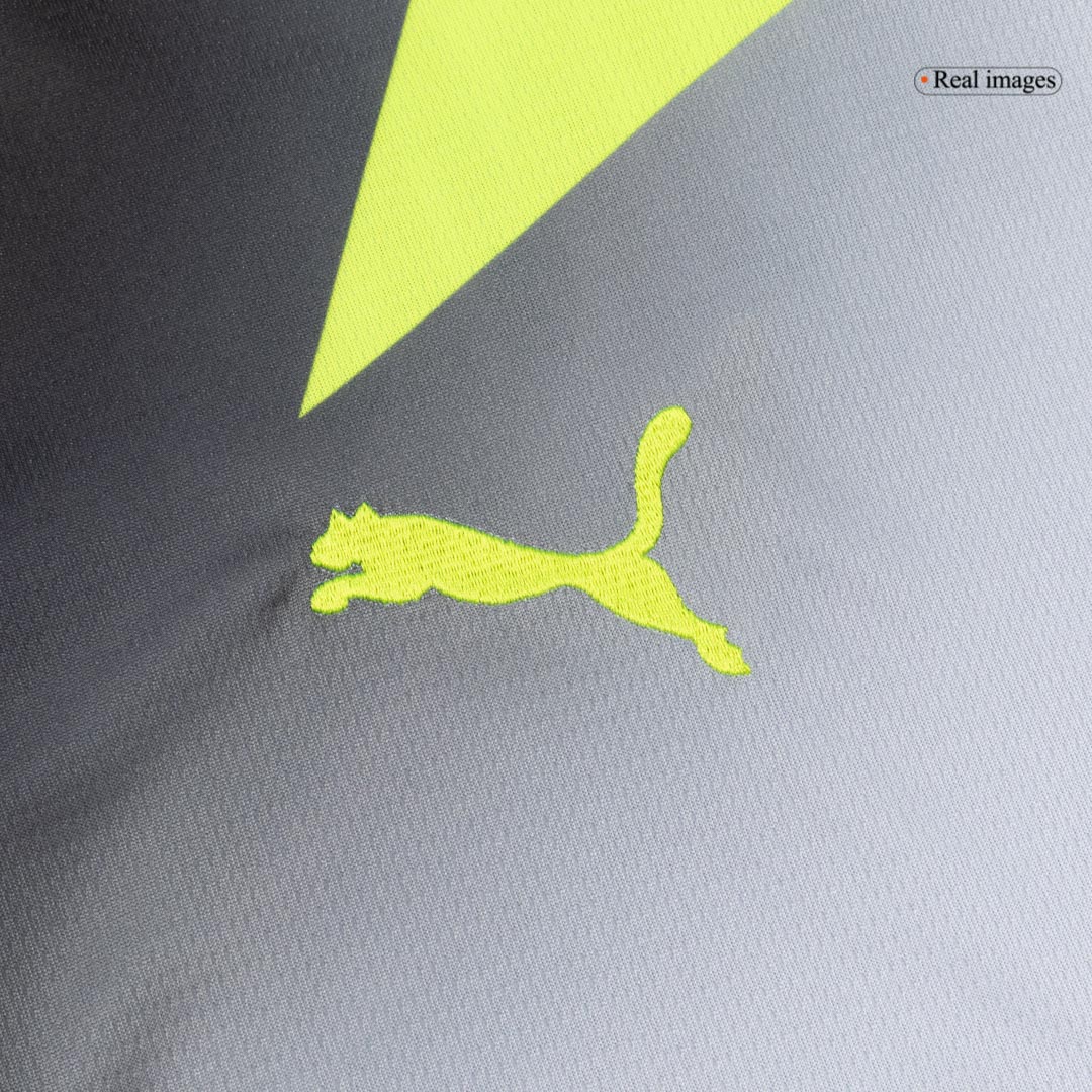 Borussia Dortmund Away Soccer Jersey Kit(Jersey+Shorts) 25/26 Gray