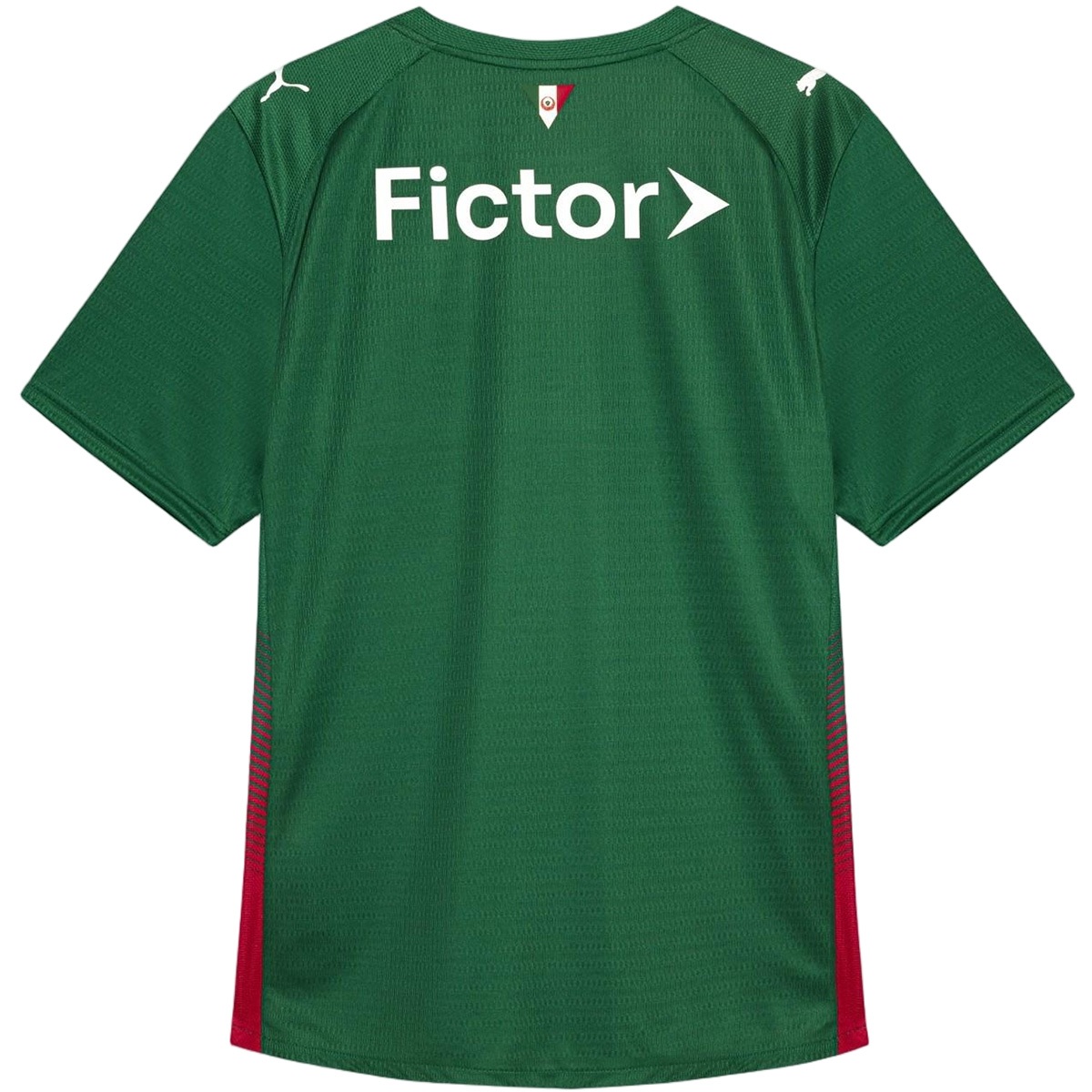 SE Palmeiras Home Jersey 2026