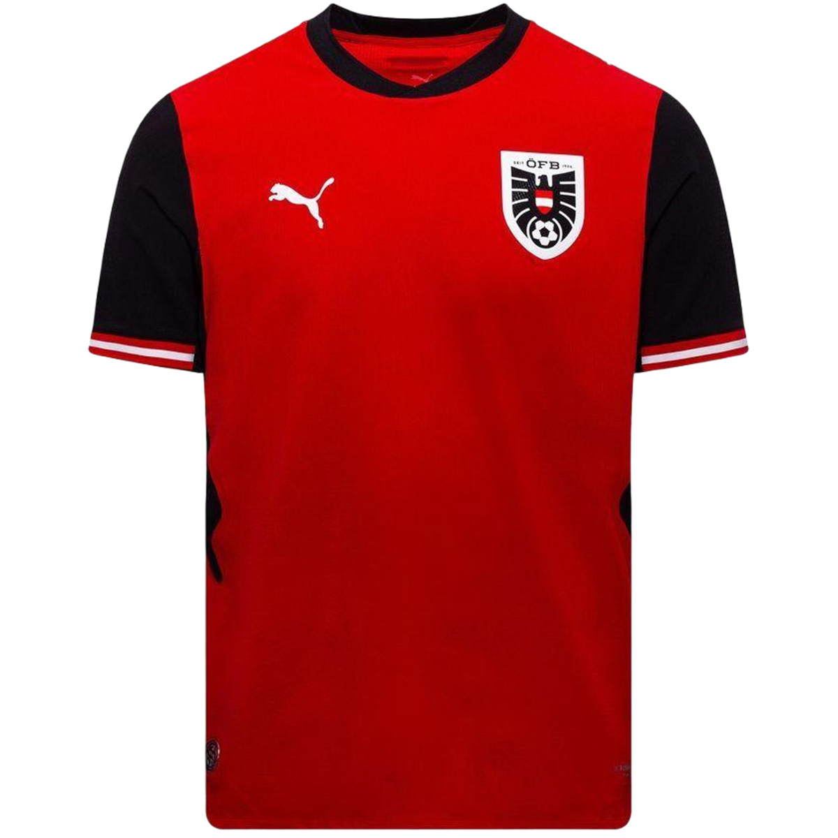 Player Version Austria Home Soccer Jersey World Cup 2026 Red
