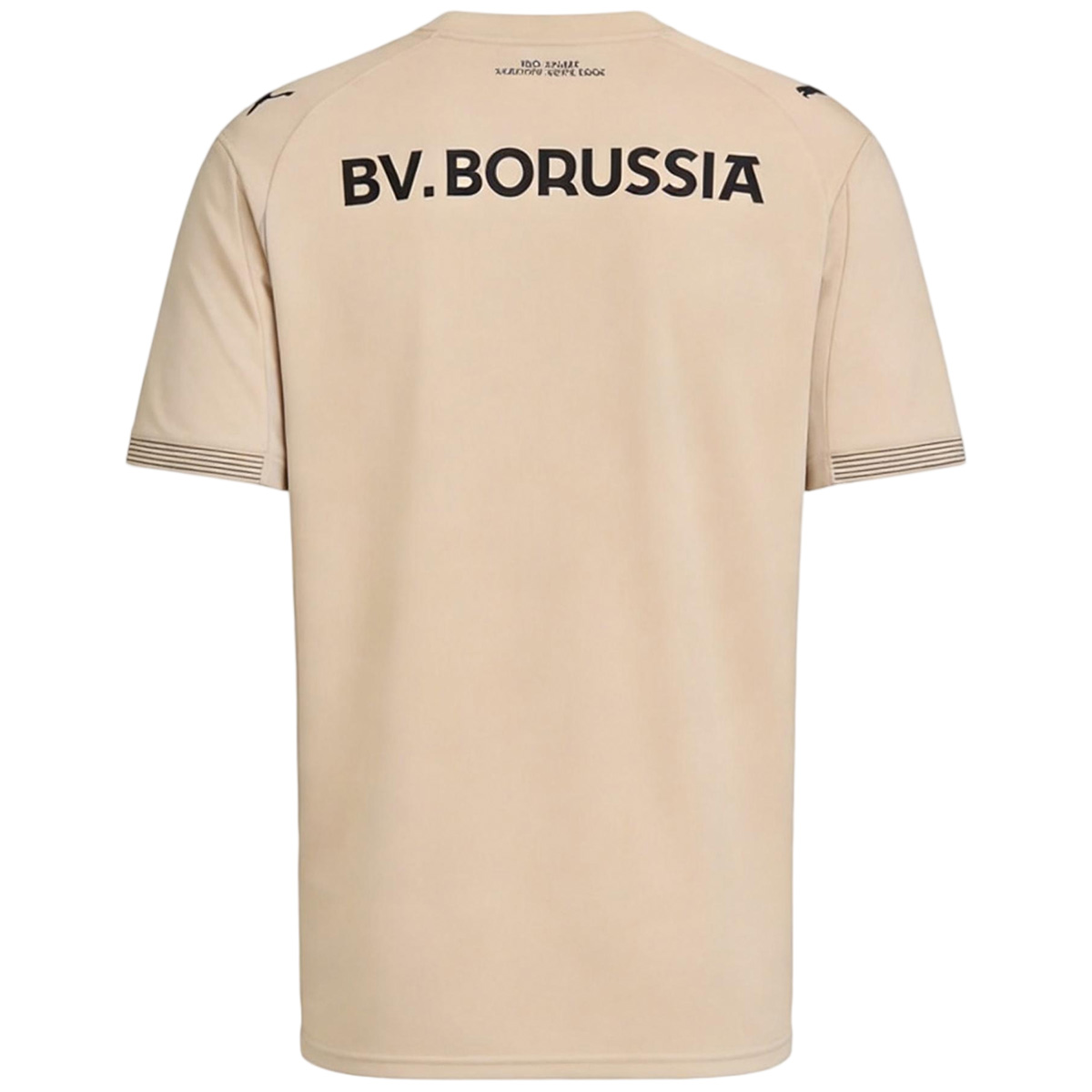 Borussia Dortmund 100th Anniversary Rote Erde Special Edition GK Jersey 2026